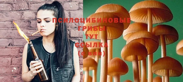 дмт Арсеньев