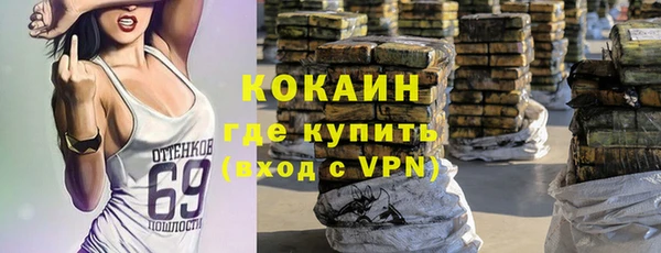 дмт Арсеньев